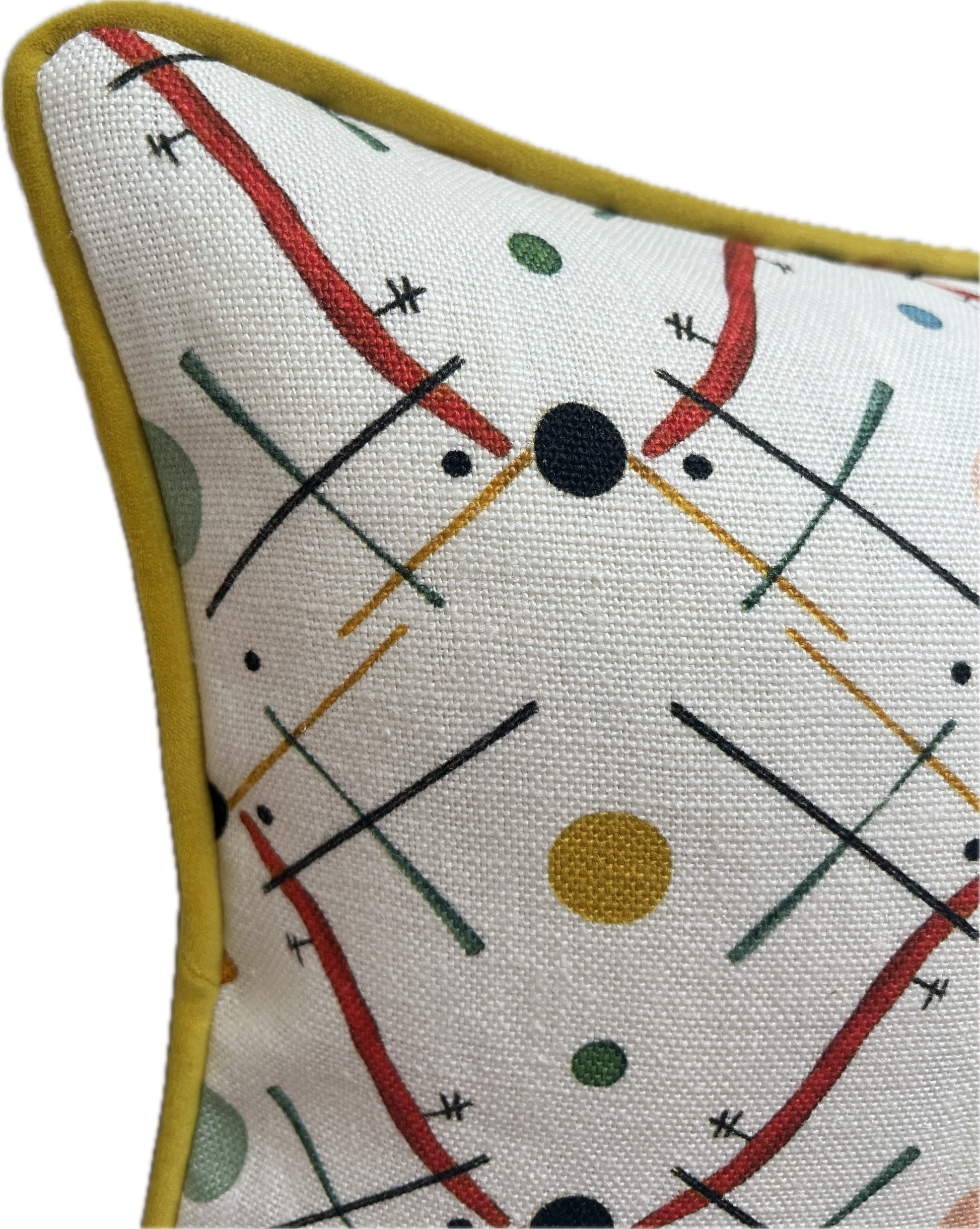 Luxury patterned cushions in Ottoline Improvisation 1 fabric