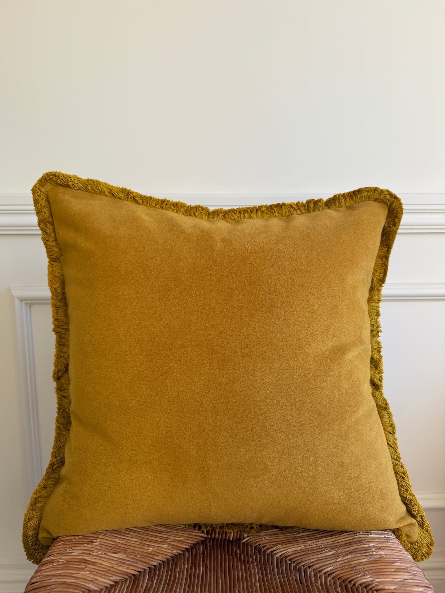 Fermoie Quantock 005 Gold Fringed Cushions