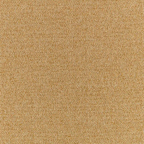 Cumin Cushion